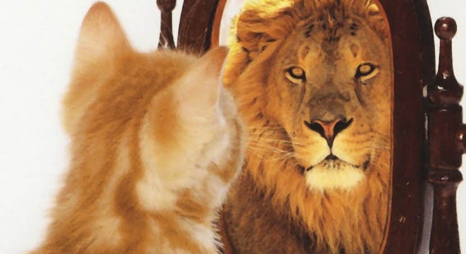 Funder Activists and Activist Funders