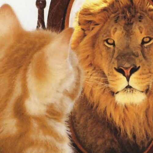 Funder Activists & Activist Funders