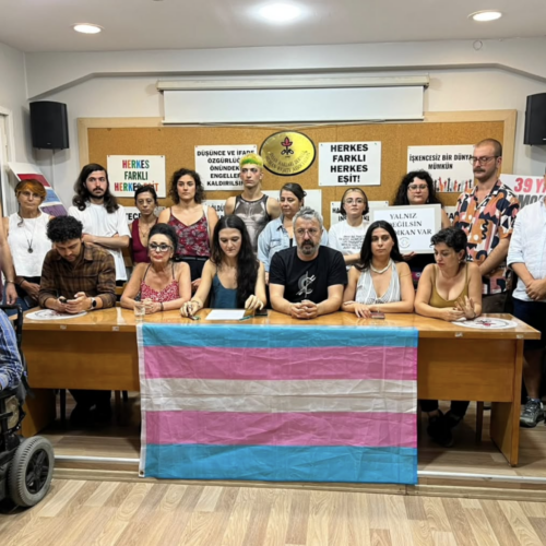 Women’s Defence Network (Kadın Savunma Ağı – WDN)